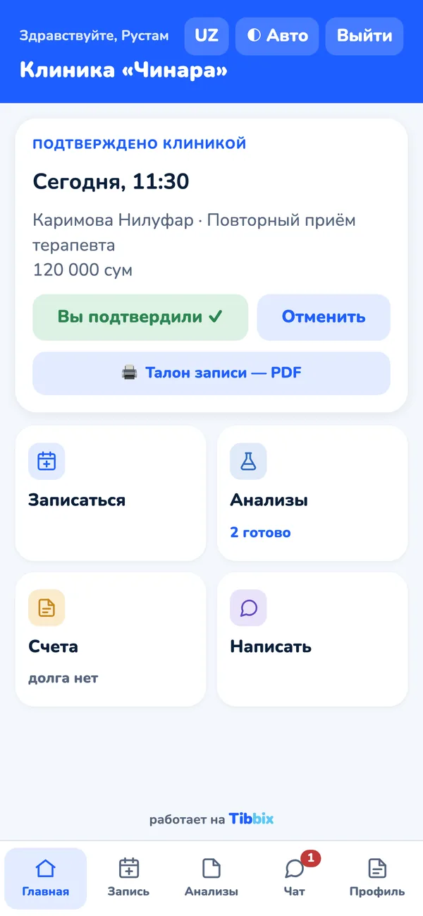 Экран программы Tibbix (демо-данные)